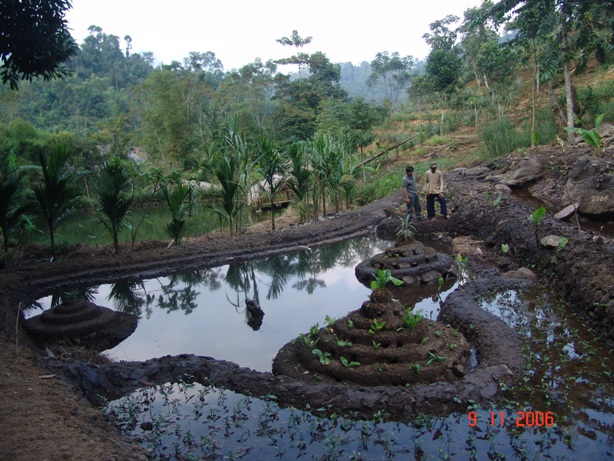 Agro-Ecology Garden of Key Farmer - Vi Van Nhat - Black Thai elder
